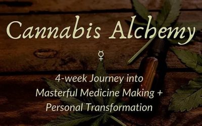 Cannabis Alchemy – Fall 2019